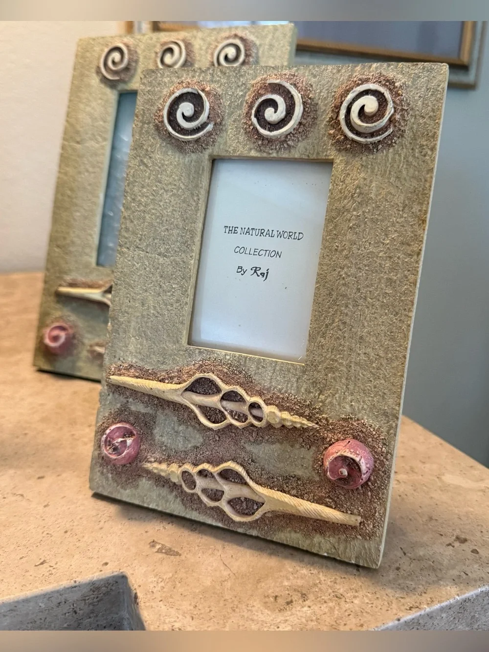 The Natural World By Raj Beachy Seashell Picture Frame Set - 3 Pack